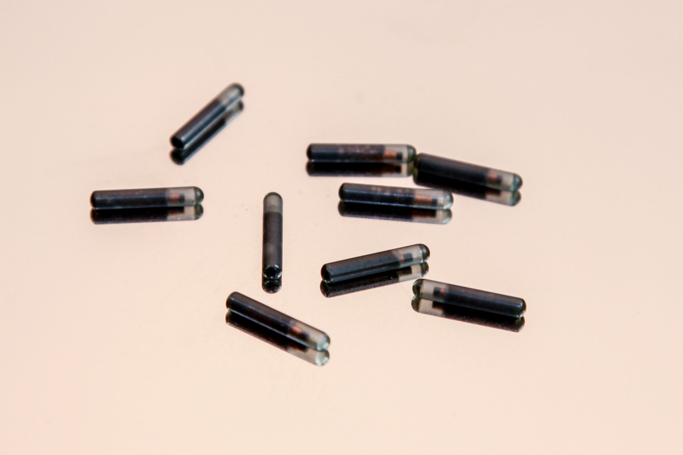 Image credit: Steve Northam