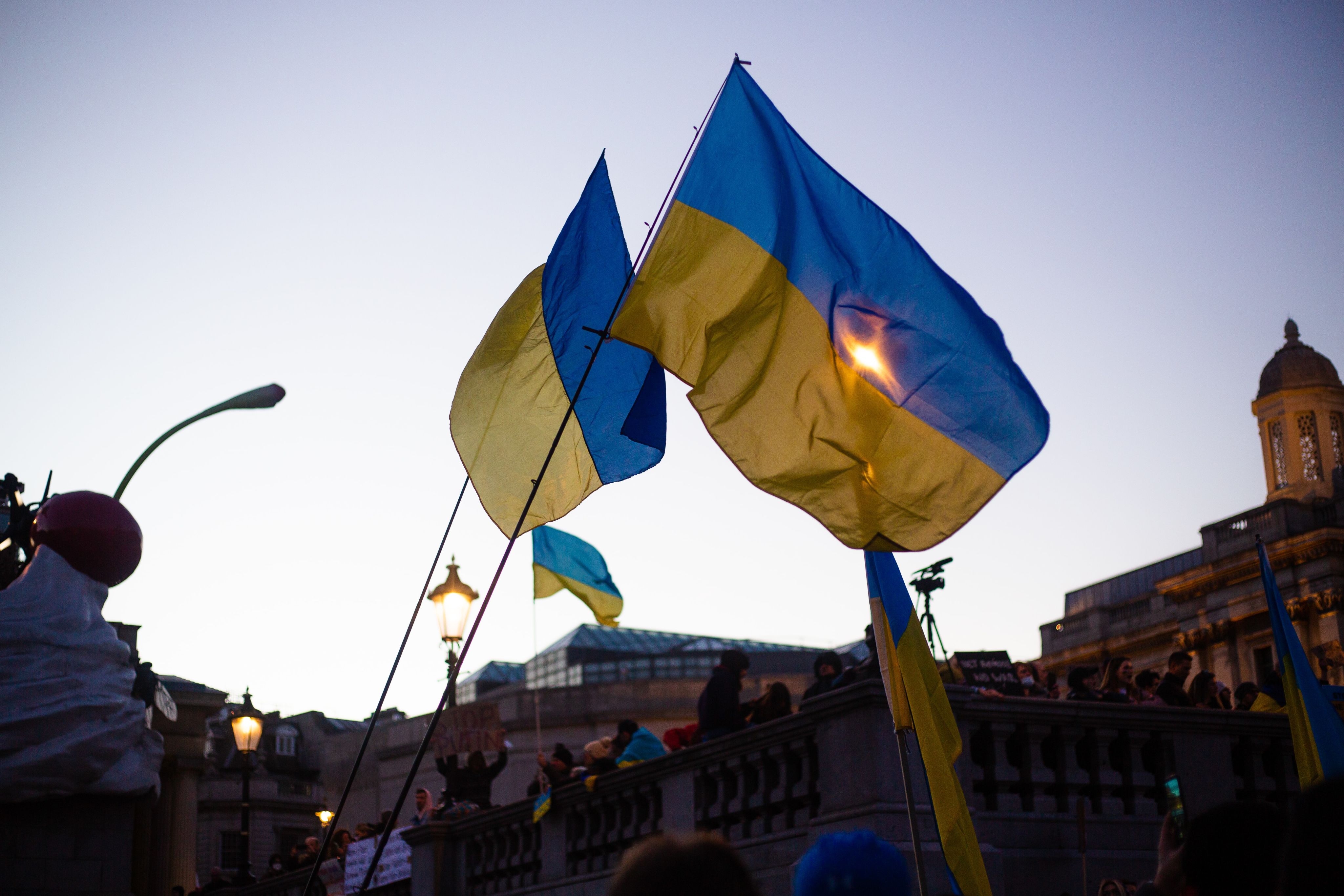 Ukrainian Flag