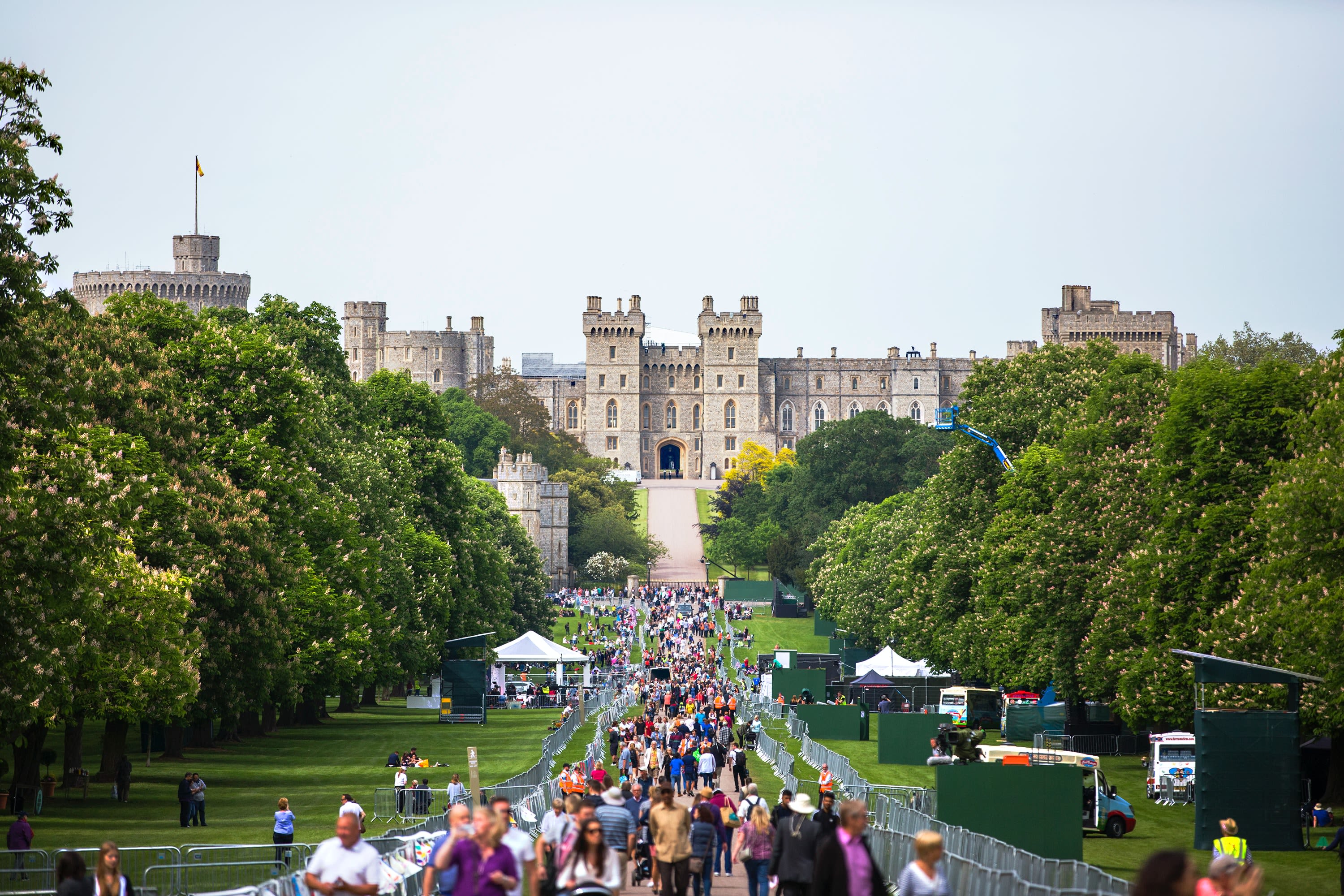 people at the park and castle at the distance during day