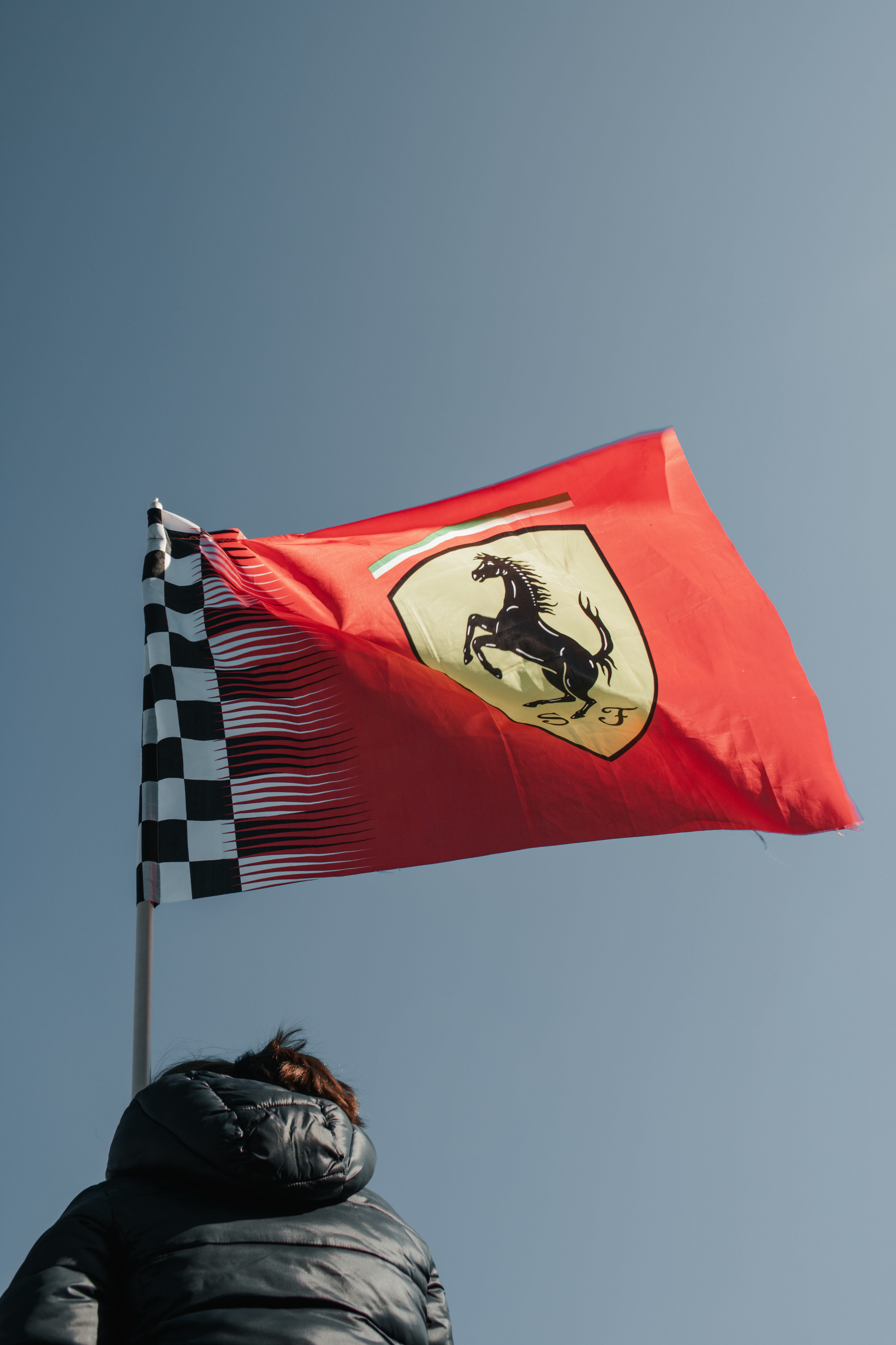 a red flag with a black and white horse on it