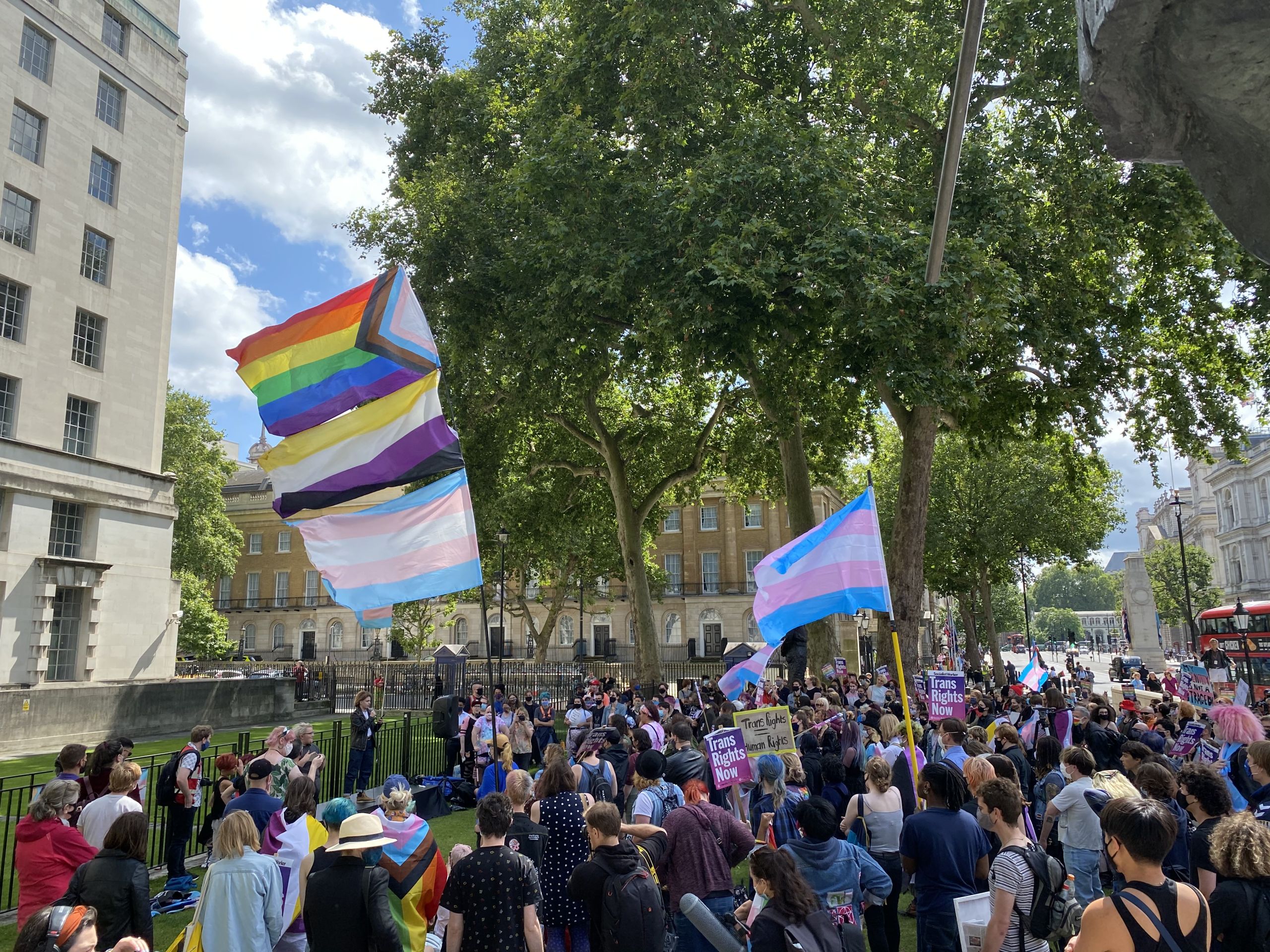 Image of the flags and crowd at the trans rights protest outside Downing Street in London