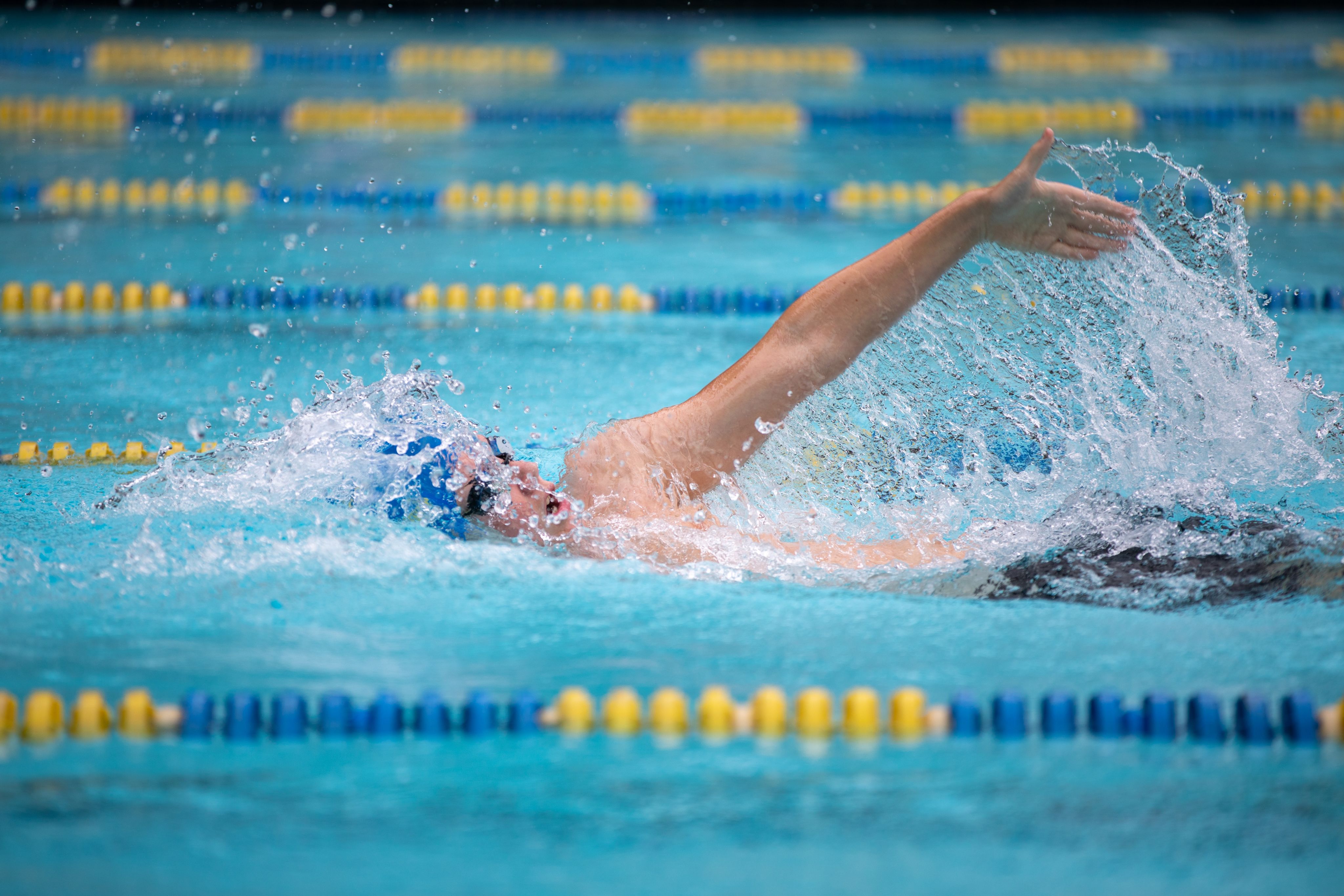 person swimming in the pool